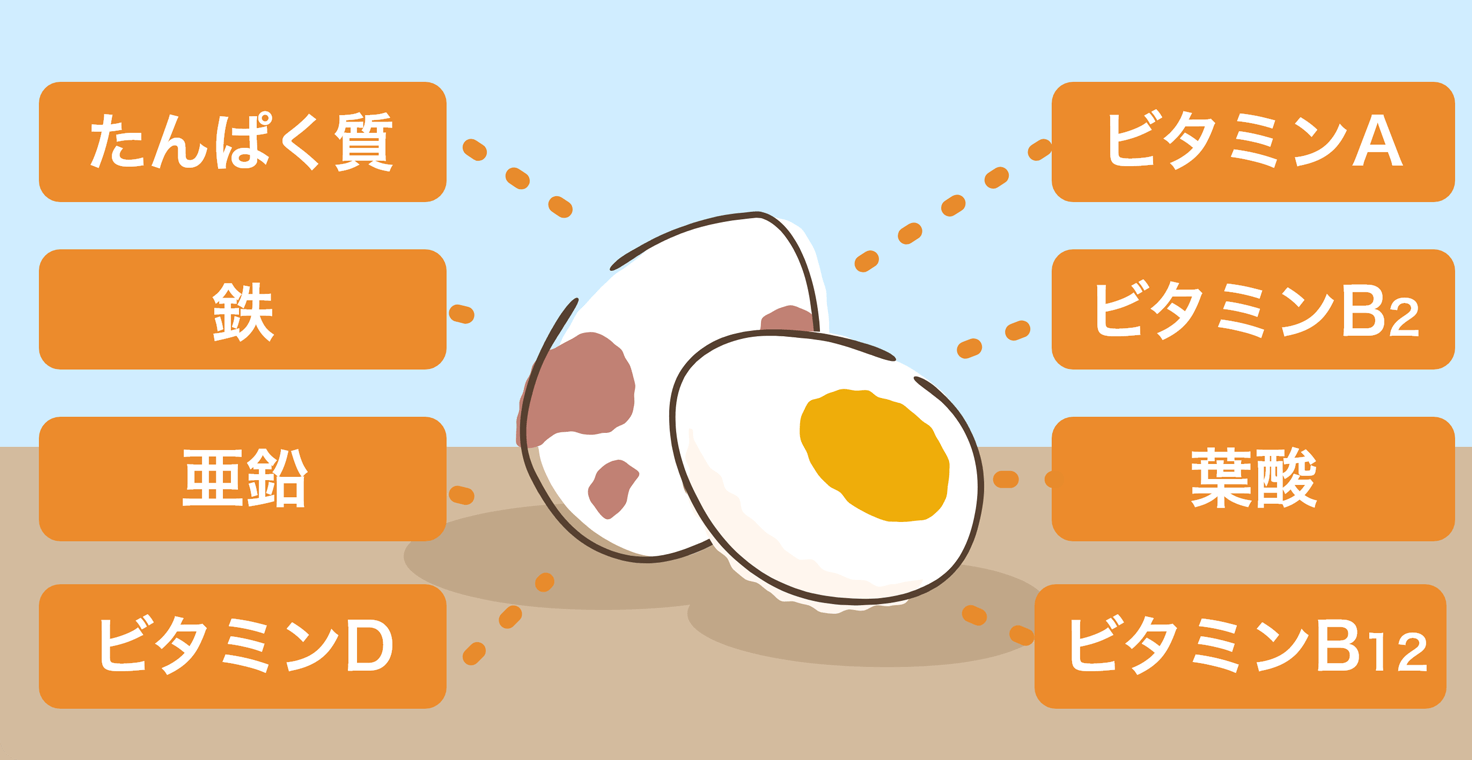 うずらの卵に含まれる栄養素